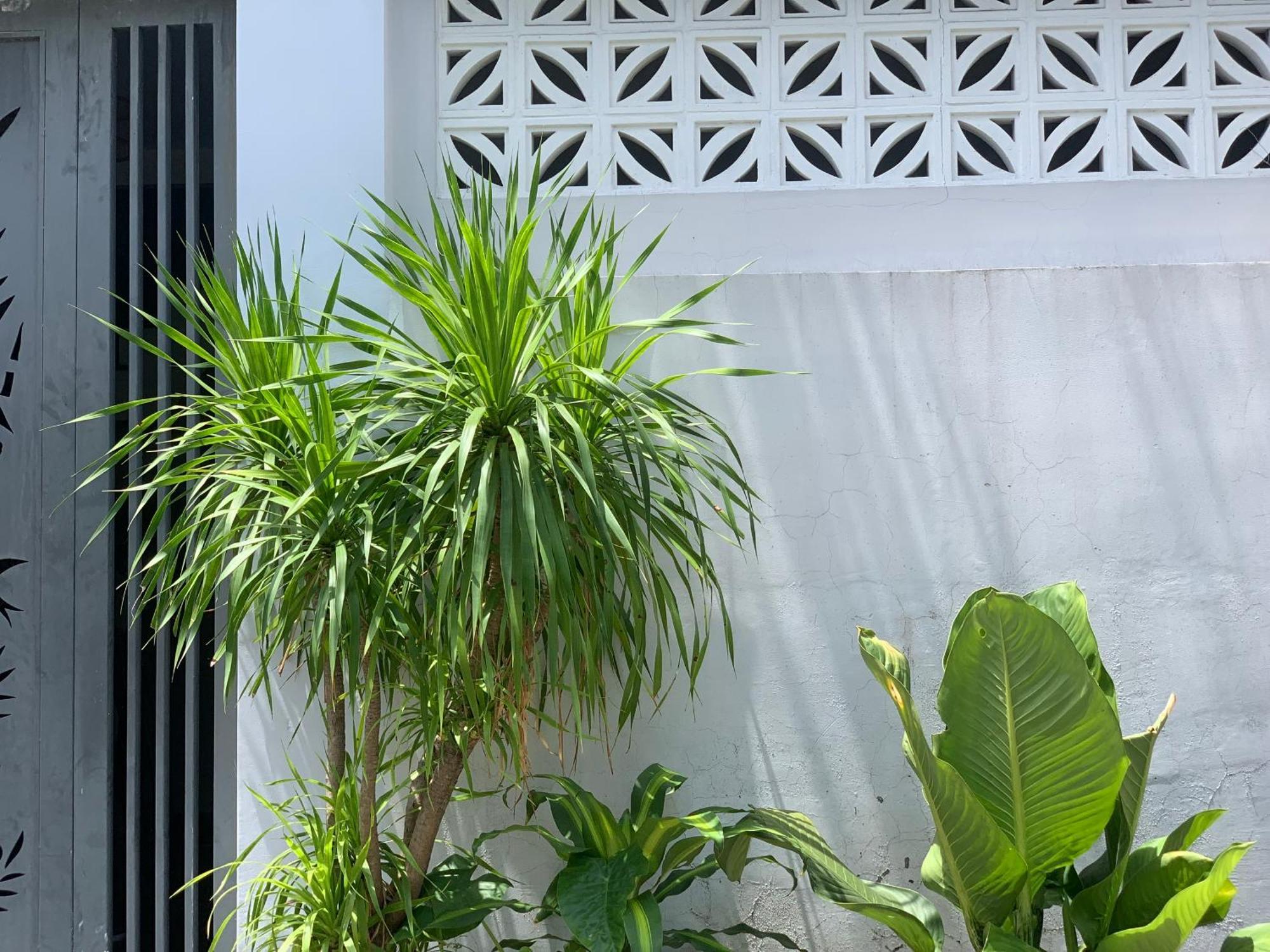 Tina House Apartment Đà Nẵng Ngoại thất bức ảnh
