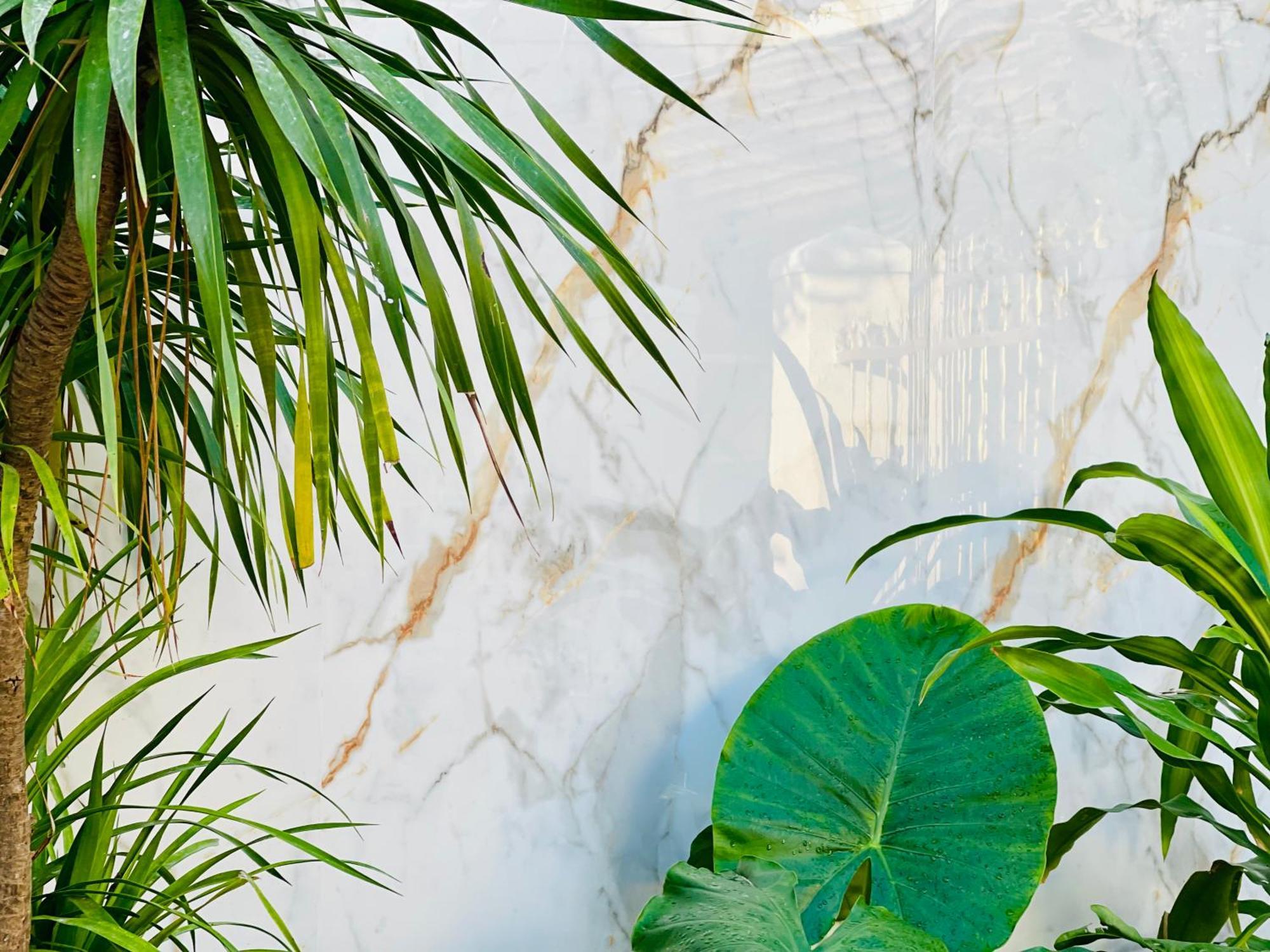 Tina House Apartment Đà Nẵng Ngoại thất bức ảnh